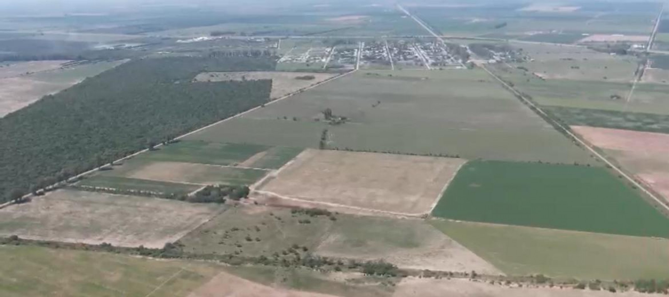 CAMPO MIXTO EN SA PEREIRA !! CASI 94Ha OPORTUNIDAD DE INVERSION !!!!