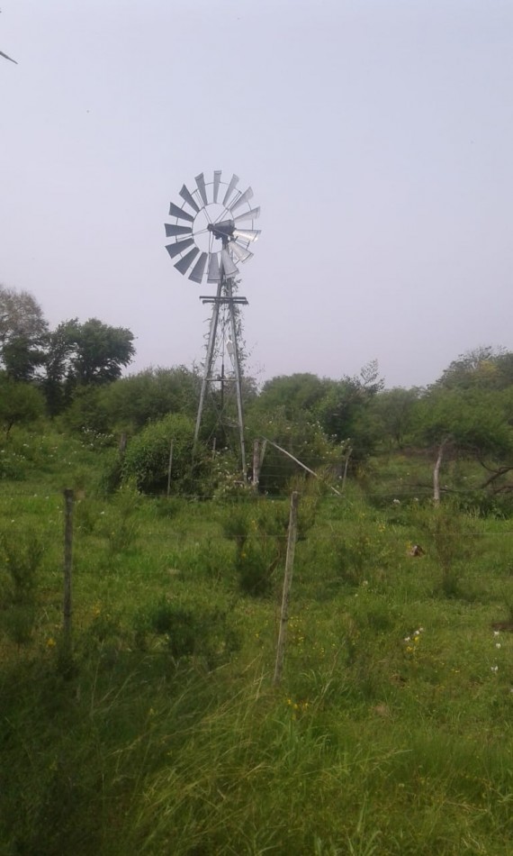 CAMPO DE 15 HA EN PARAJE  LOS CORRALITOS,  ALEJANDRA