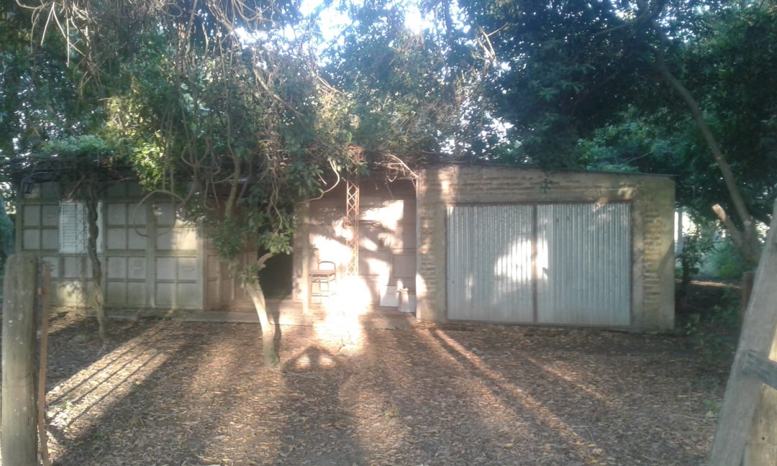 CAMPO DE 15 HA EN PARAJE  LOS CORRALITOS,  ALEJANDRA