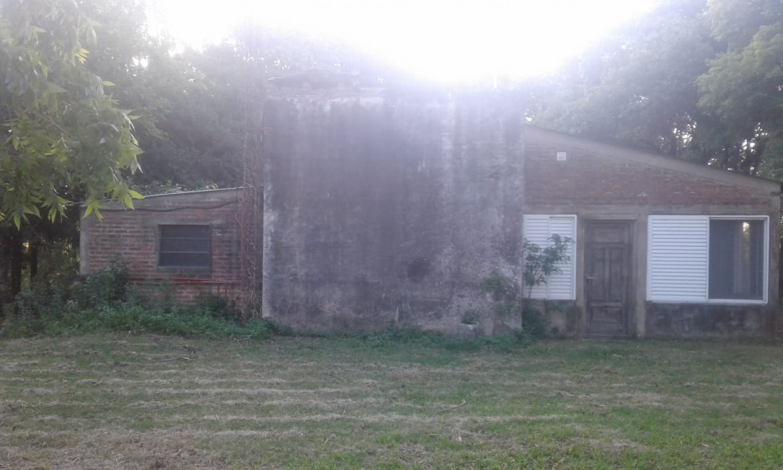 CAMPO DE 15 HA EN PARAJE  LOS CORRALITOS,  ALEJANDRA