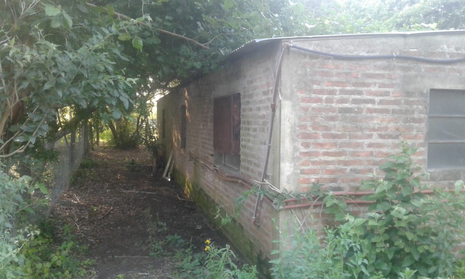 CAMPO DE 15 HA EN PARAJE  LOS CORRALITOS,  ALEJANDRA