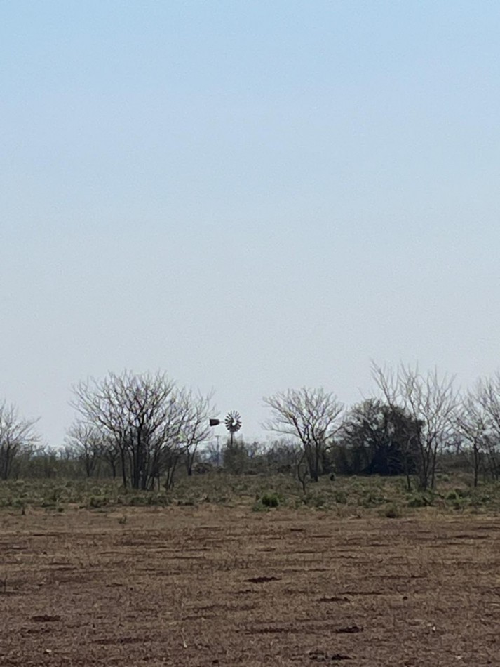 CAMPO MIXTO EN SA PEREIRA !! CASI 94Ha OPORTUNIDAD DE INVERSION !!!!