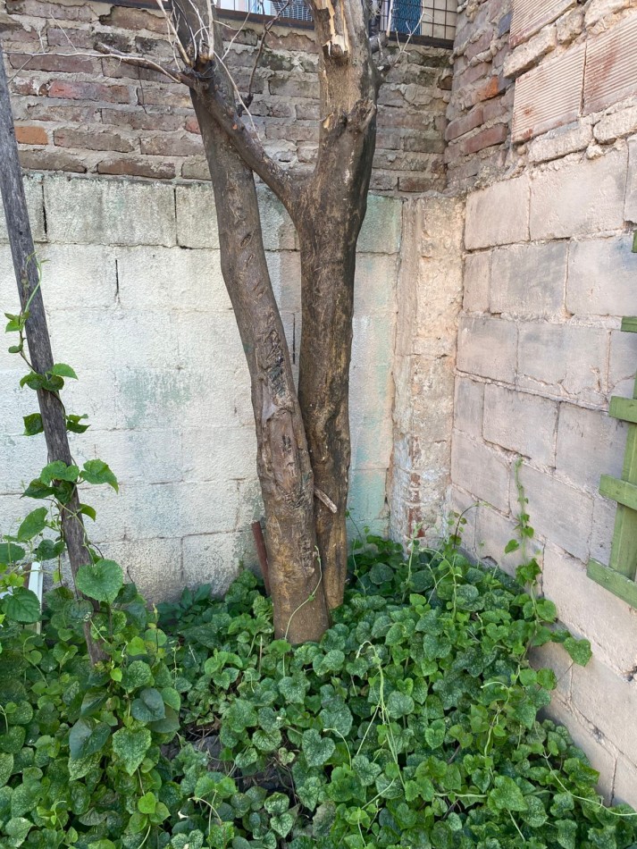 IMPERDIBLE INVERSION!!!