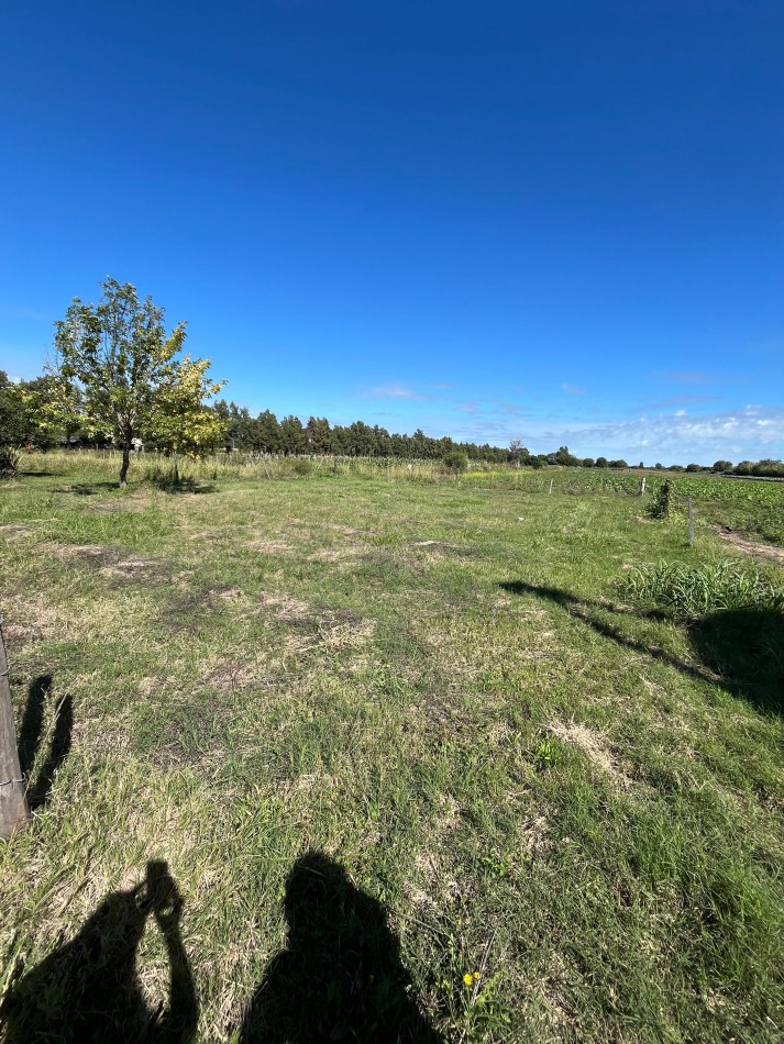 LOTE EN VENTA EN MONTE VERA 