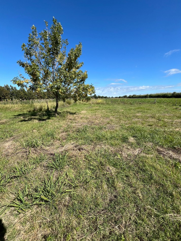 LOTE EN VENTA EN MONTE VERA 